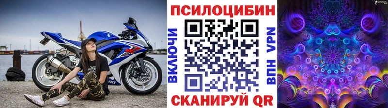 купить наркоту  Красавино  Псилоцибиновые грибы мухоморы 